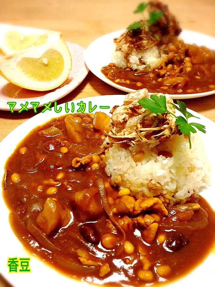 マメマメしいカレーと切り干し大根のかき揚げ風|かずきっちんさん