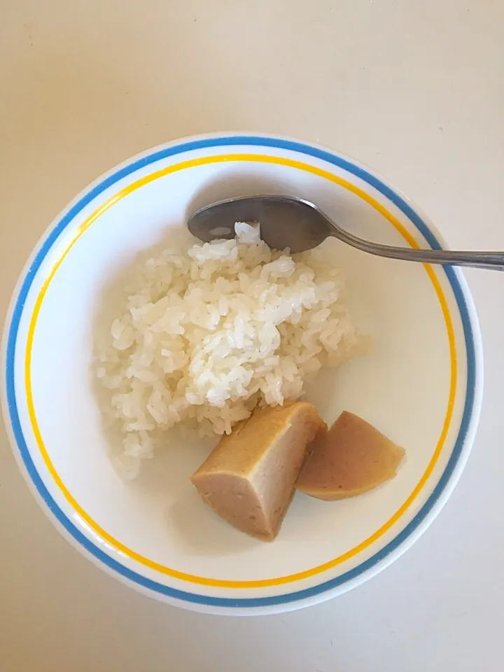 Snapdishの料理写真:Pork loaf and rice 3/17|Didi Duangさん