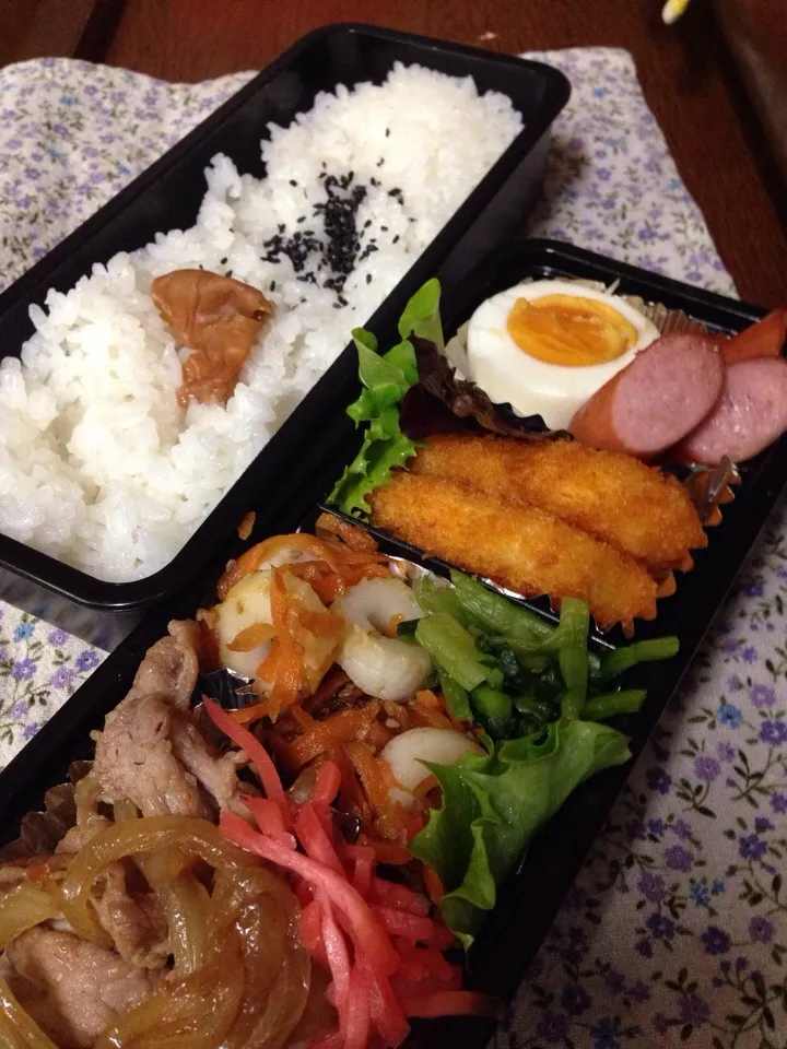 Snapdishの料理写真:父さんのお弁当|Tsutsui Tomokoさん