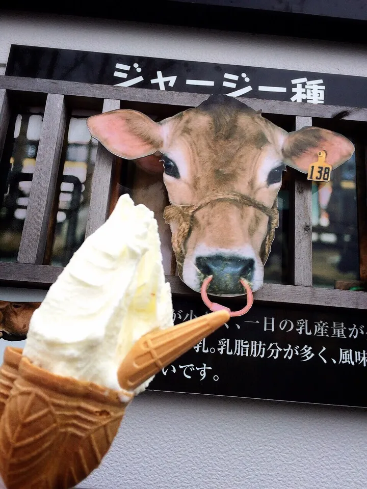 毎朝搾り立てジャージー牛乳を豊富に使ったいでぼくのジャージーミルクジェラート🍦✨😋
ここまで来たら食べて行かねば✌️😁 #SHIZUOKA #FUJINOMIYA #MTFUJI #IDEBOKU
#gelato #JerseyMilk
#いでぼく #富士山高原
#ジェラート #ジャージー牛乳ミルク #食いしん坊の旅|chieさん