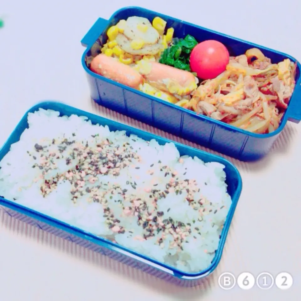 お兄ちゃんが作ってくれたお弁当♪|meguri.さん