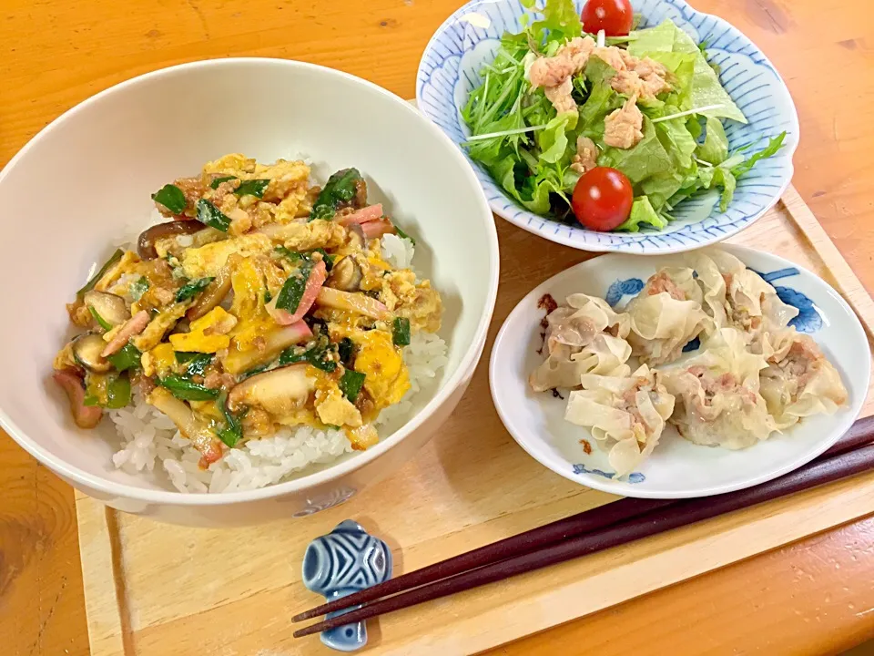 豚ひき肉の卵とじ丼|ルドルフさん