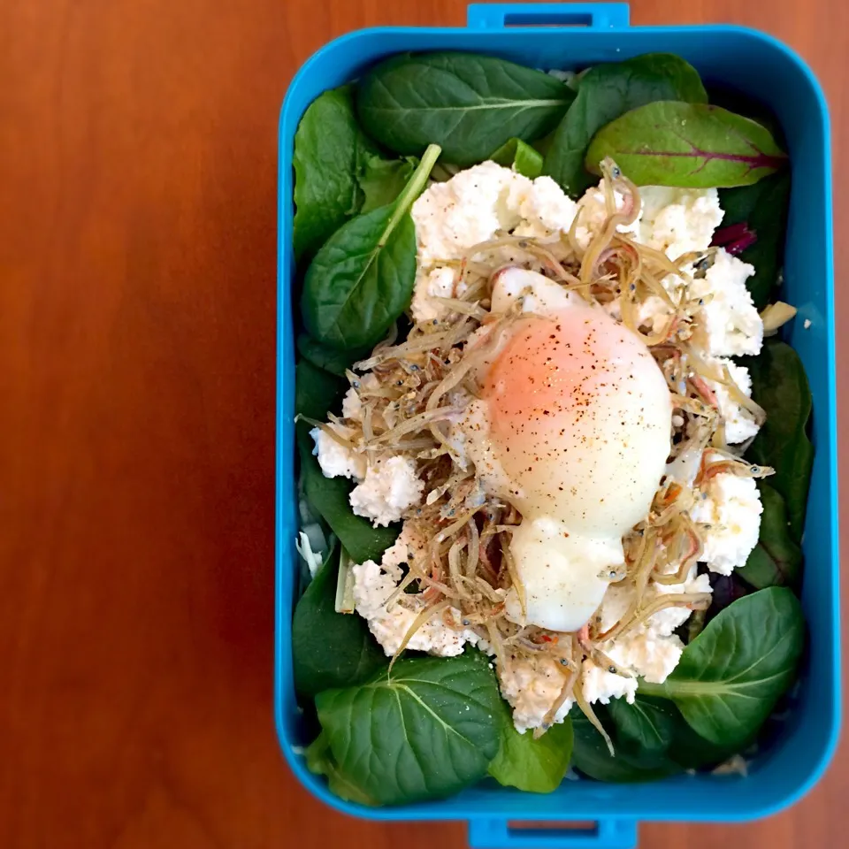 私のダイエット‼︎ヘルシー弁当♪ 20150319「春の旬〜かなぎちりめん」|Youさん