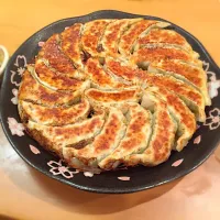 焼き餃子|くまひげさん