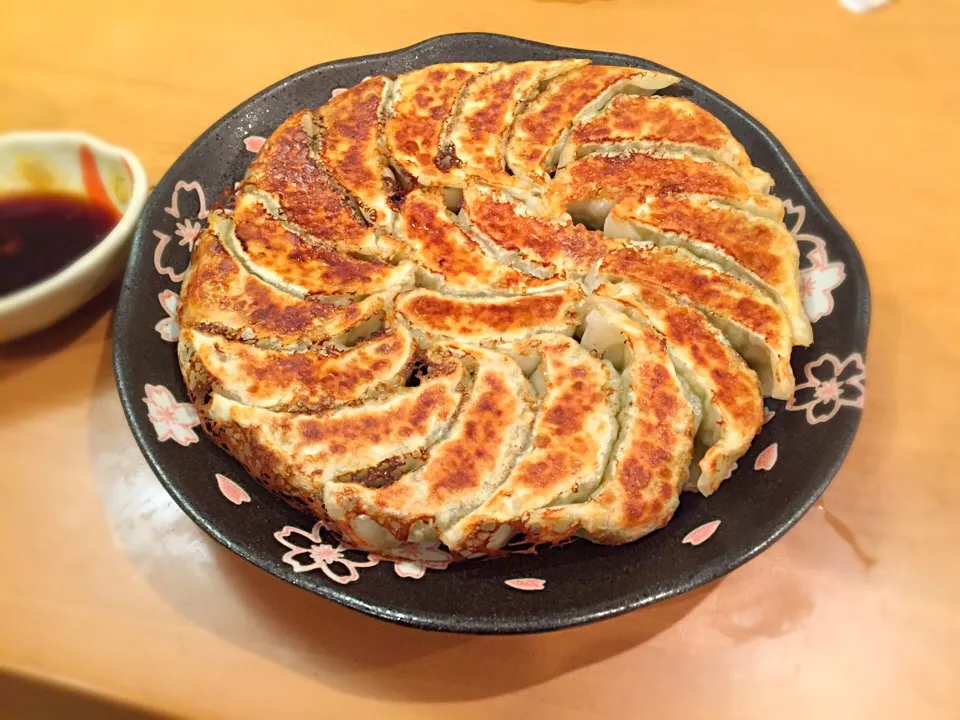 焼き餃子|くまひげさん