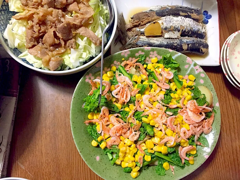 春のお花見サラダ・スタミナ焼・鰯の煮付け|Tarou  Masayukiさん