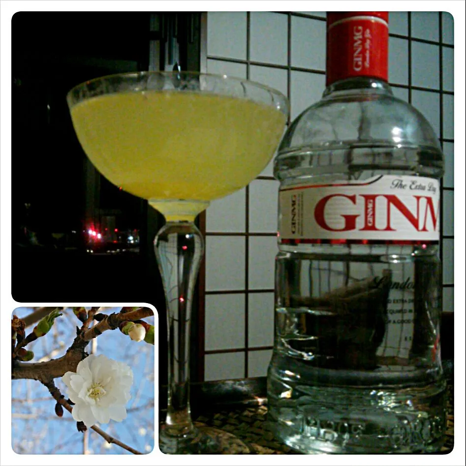 London dry gin and squizeed orange, it's my night cap tonight!
Va bene cosi, cara mia?|quitaさん