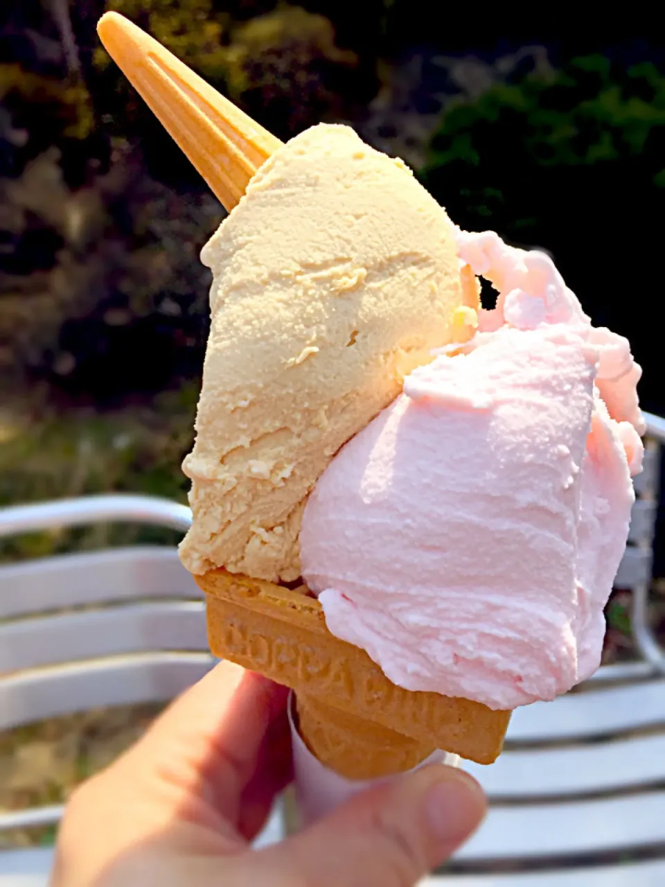 ロイヤルミルクティー🍹&サクラ🌸のジェラート🍦|akiさん