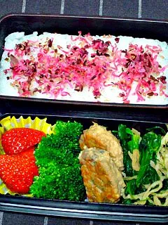 Snapdishの料理写真:お弁当（しそちりめん乗せご飯、ハンバーグ、ほうれん草と切り干し大根のお浸し、ブロッコリー、いちご）|すーさん