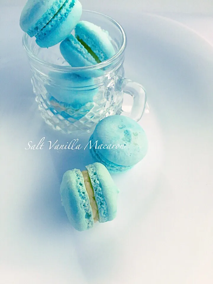 Snapdishの料理写真:Salt Vanilla Macaron|サクラさん