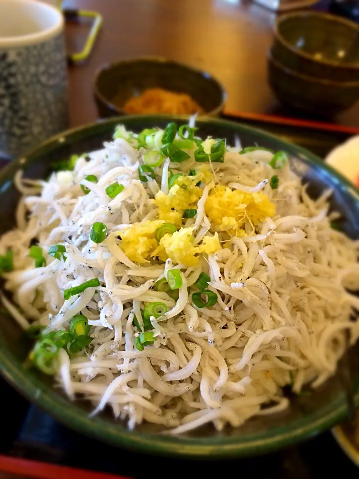 Snapdishの料理写真:釜揚げしらす丼|ユキティモさん