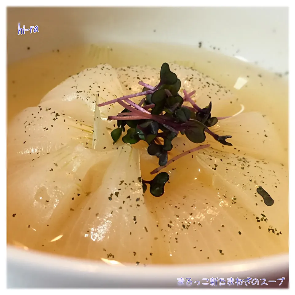 Snapdishの料理写真:『まるっこ新たまねぎのスープ』|hi-ra（ひいら）さん