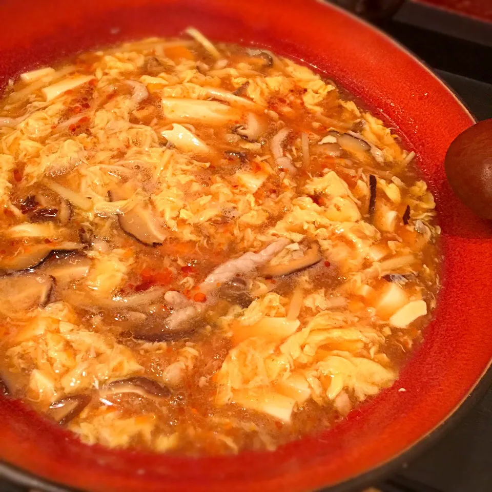 酸辣湯麺！丼がでかくてビックリ|リュカさん