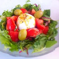 Snapdishの料理写真:Yummy Sebi's Tomato Salad with Mozzarella di Bufala DOP- nest style|tomomi tawaraさん