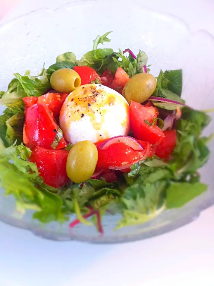 Yummy Sebi's Tomato Salad with Mozzarella di Bufala DOP- nest style|tomomi tawaraさん