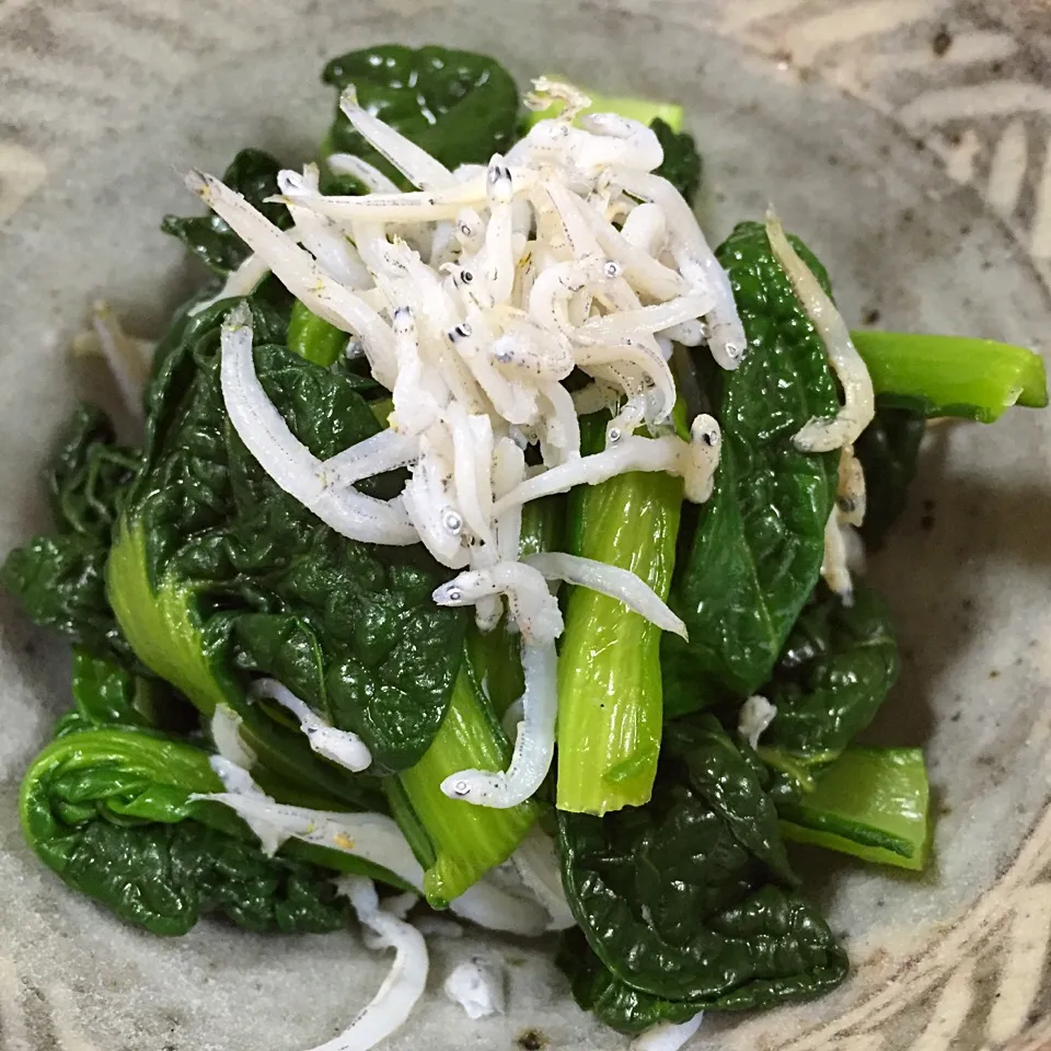 蒸し焼き野菜  〜雪菜〜|アッツさん