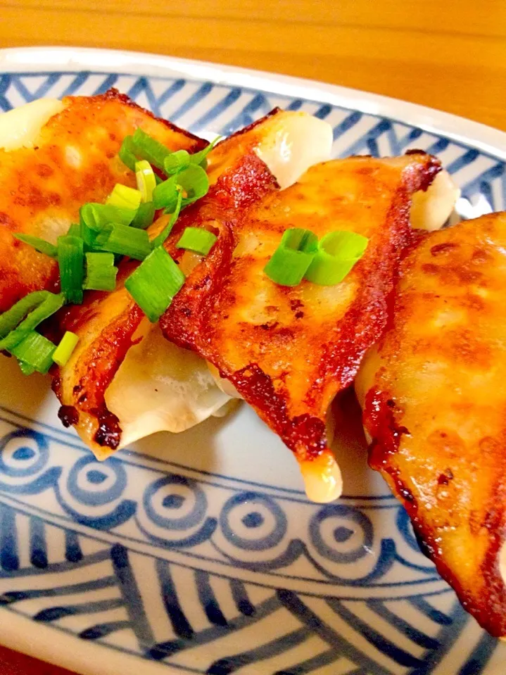 カリッと焼き餃子🍀野菜だらけ|まいりさん