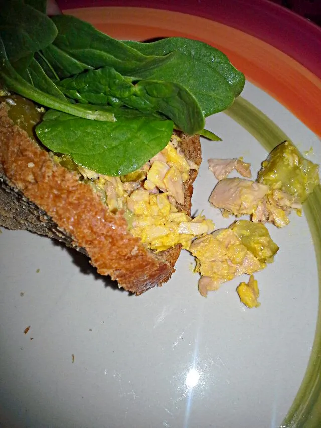 Tuna sandwich with raw spinach on fresh baked bread|Dawn Nelsonさん