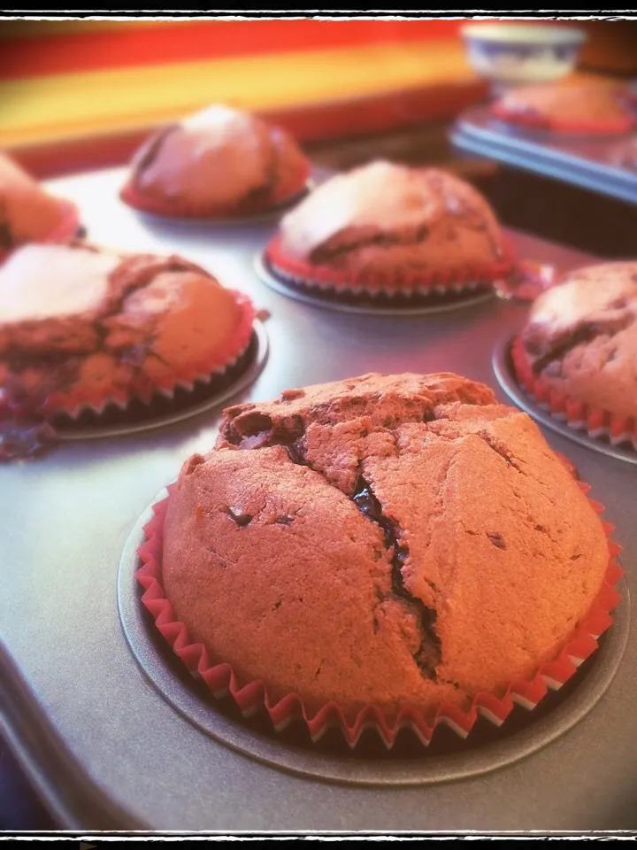 cranberry centered chocolate muffins  ☕️ so good!|CatzeMDさん