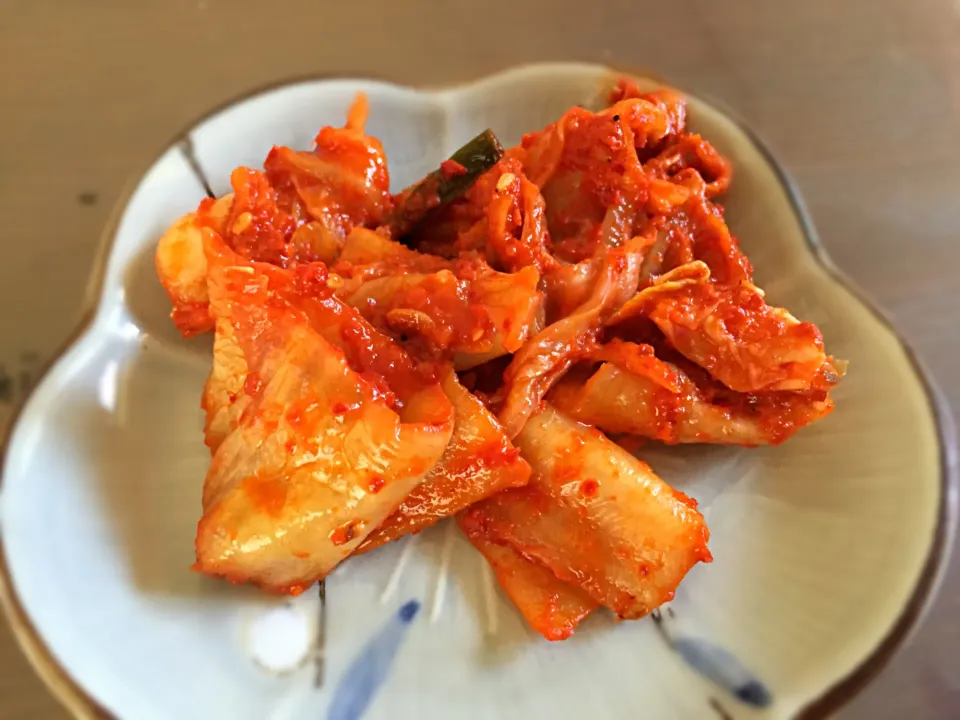 Hmmm...... Kimchi !😋👍🎌 Yum!!!|joさん