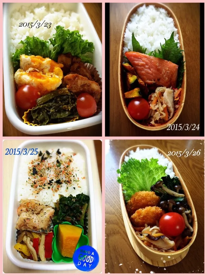 3/23〜3/26 お弁当|mihaさん