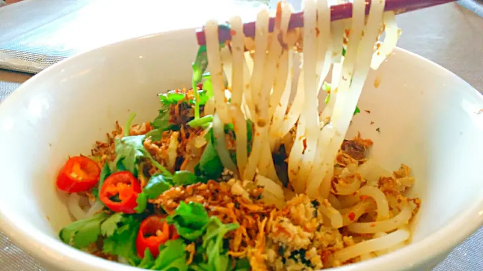 Vietnamese Rice Noodles #Vegetarian  #Healthy|Blusherさん