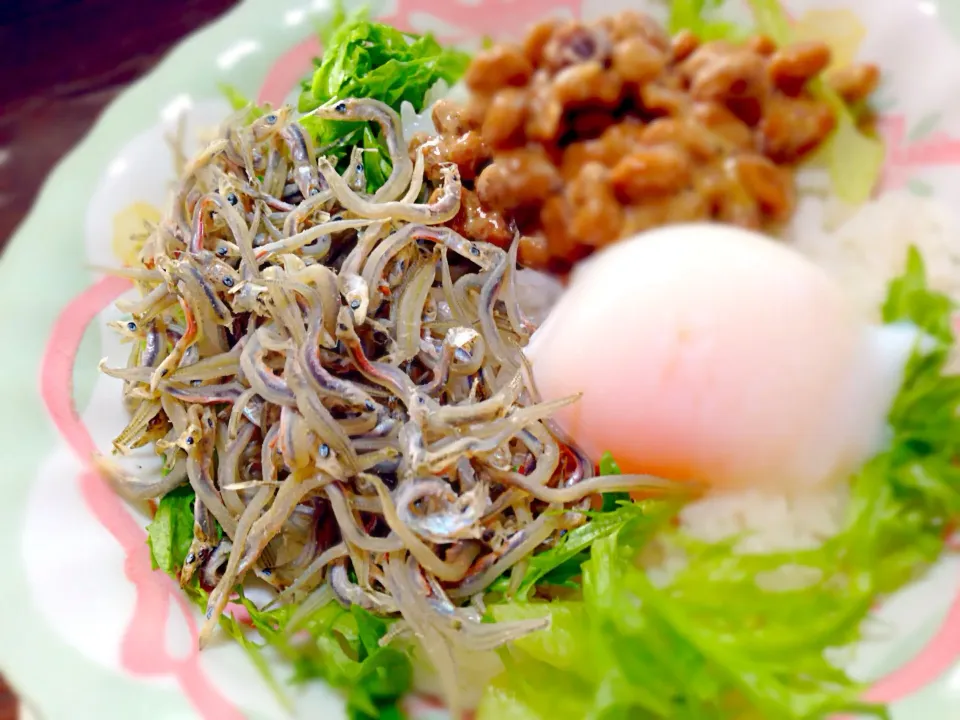 健康ランチ⭐️小女子納豆温玉丼‼|くりちさん