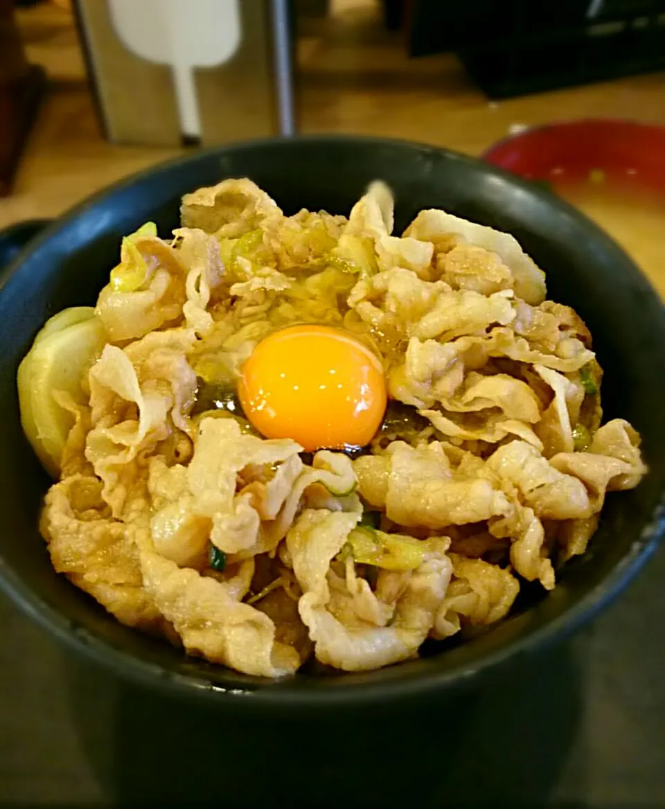 Snapdishの料理写真:スタ丼 並盛 肉増し|平原知宏さん