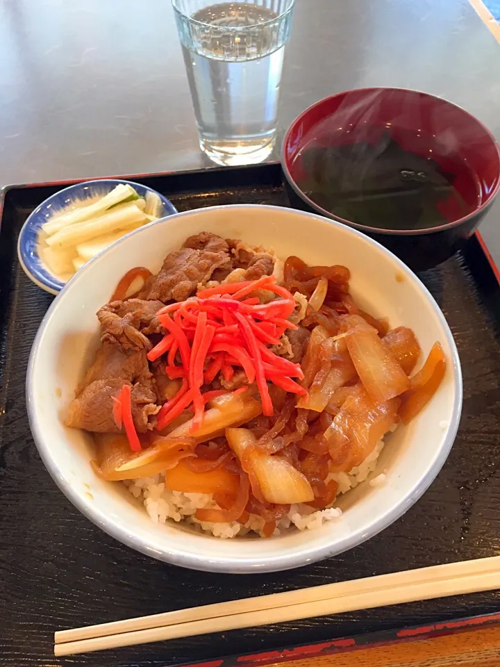 Gyudon sweetened beef over rice|Kumigarさん