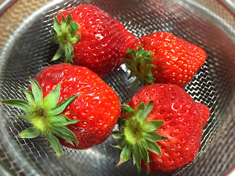 I ❤️ strawberries 🎌😋👍|joさん