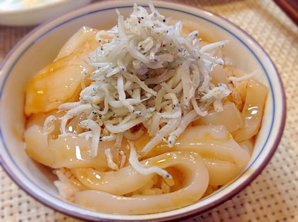 乗っけシリーズ😋ご飯編🍚|アライさんさん