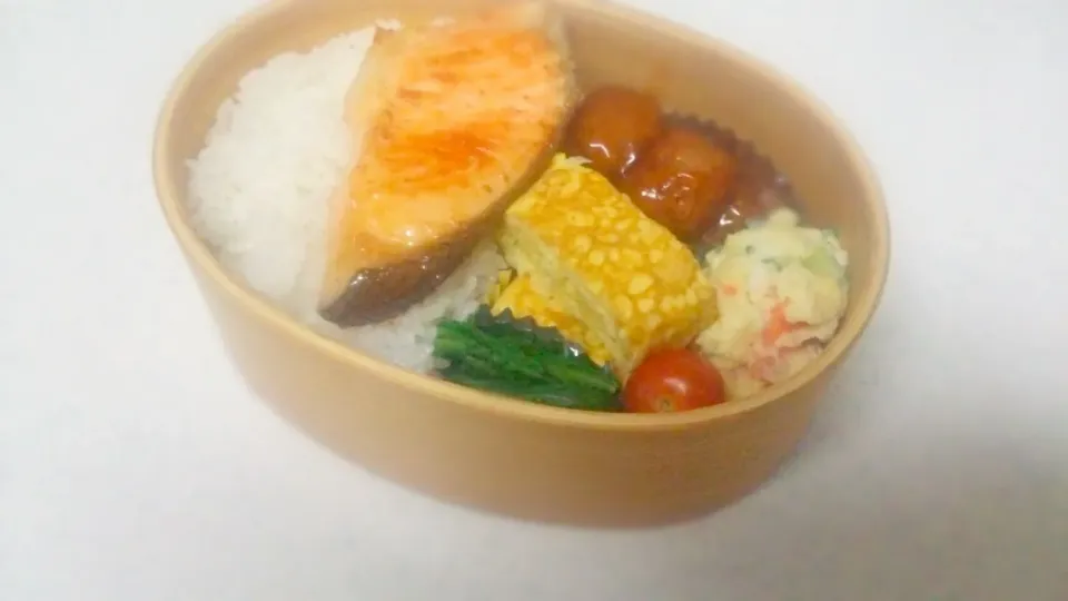 旦那弁当|こむぎさん