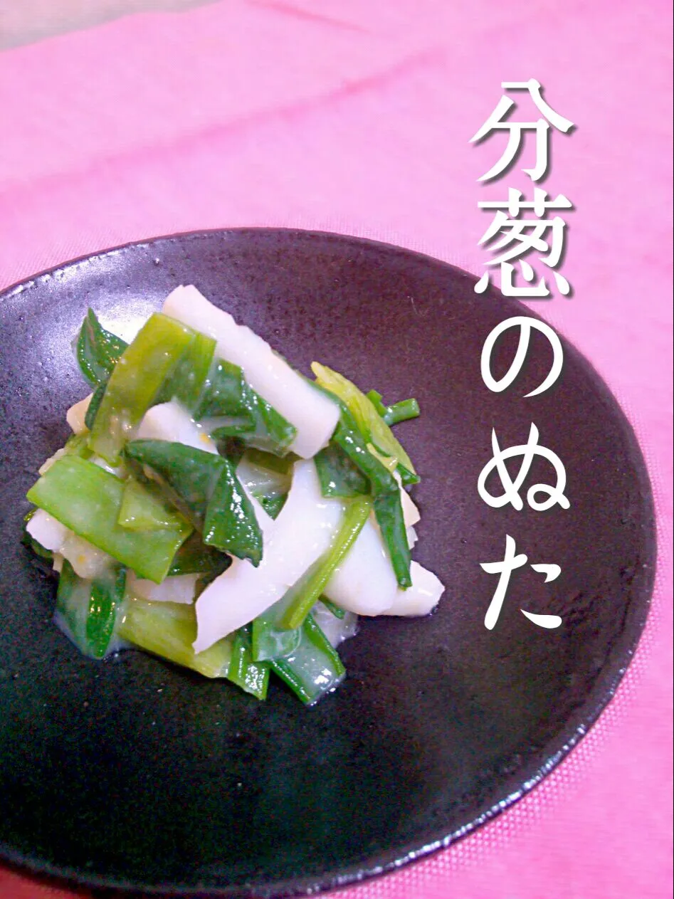 Welsh onion & squids salad with vinegar and miso!!|和田 匠生さん