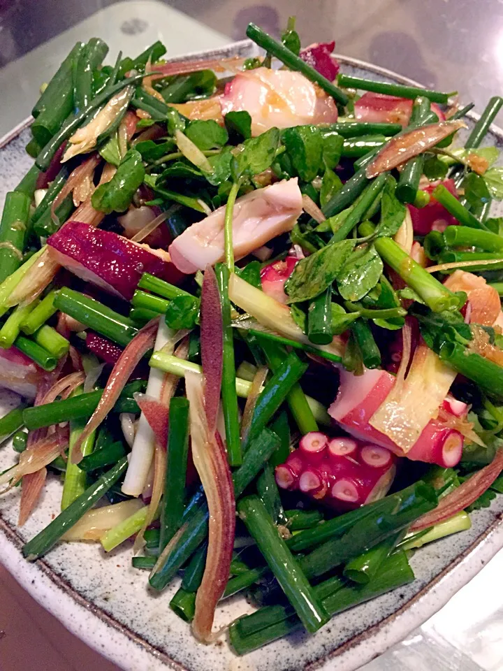 タコと香味野菜のサラダ|たけのこジョニーさん