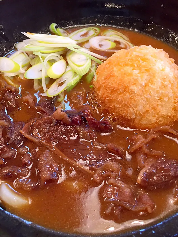 ルゥ王子の宮崎カレーうどん|Masahiko Satohさん