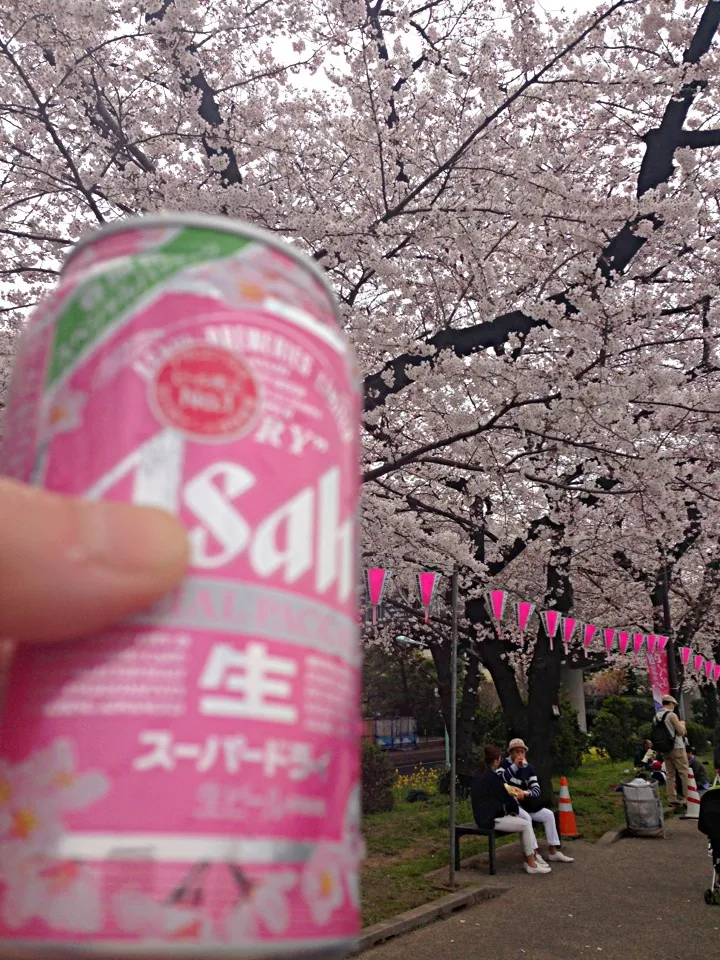 隅田公園でお花見〜🌸|Kumi Satouさん