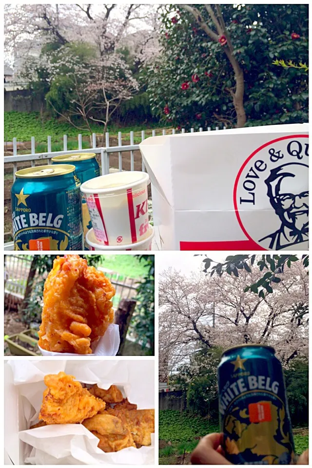 Cherry-blossom viewing Picnic🍻家の前でお花見|🌈Ami🍻さん