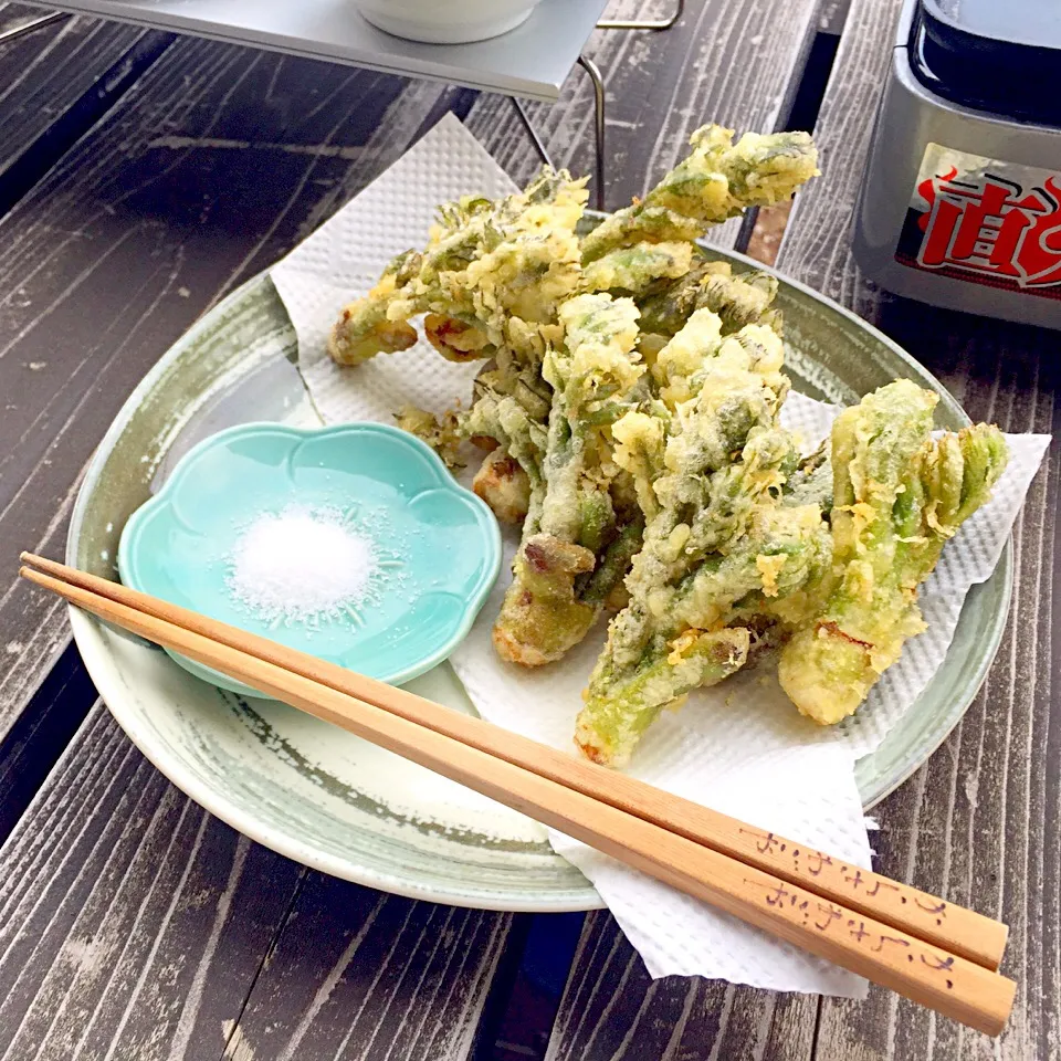 Snapdishの料理写真:タラの芽はやっぱり天ぷらだどーψ(｀∇´)ψ|ラー山さん