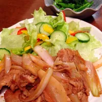 Snapdishの料理写真:新玉ねぎたっぷり豚の生姜焼き🐷ginger-fried pork|イエローフリージアさん