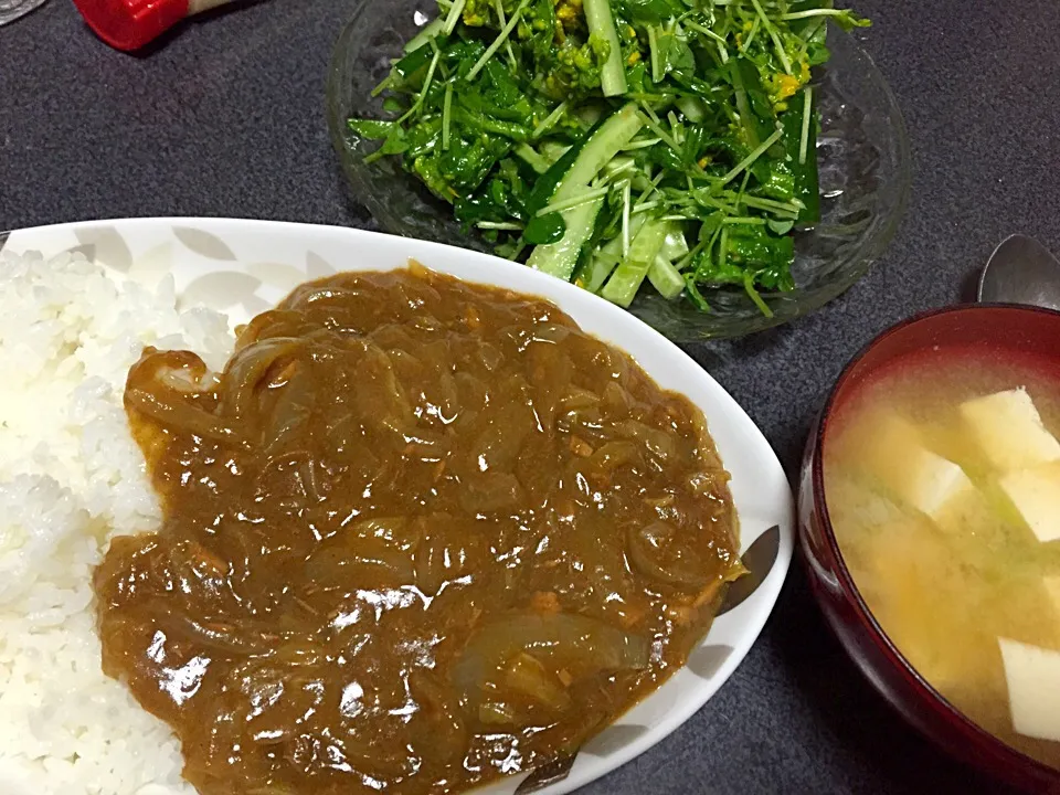 白菜が溶け込んでるカレー、菜の花豆苗サラダ、豆腐ネギ味噌汁、ライス|ms903さん