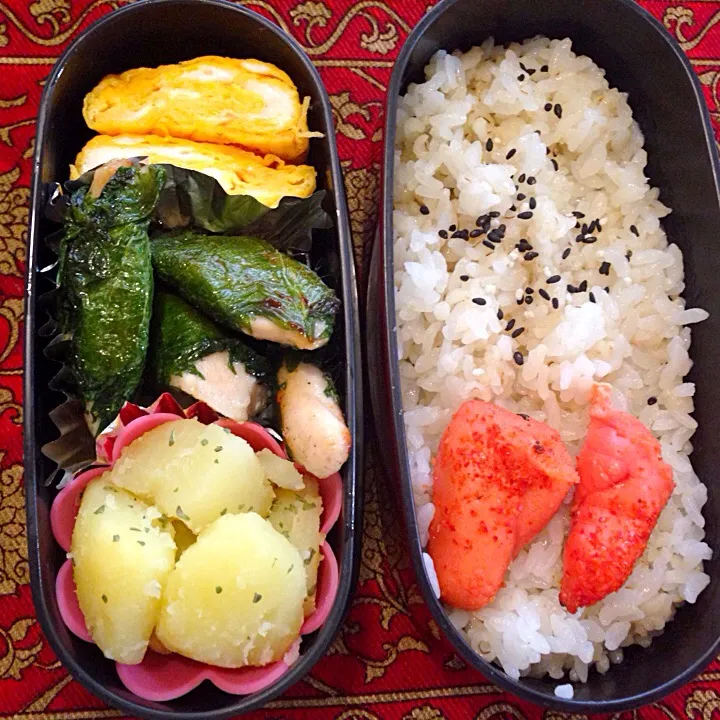 鶏ささみの大葉巻きとたらこ弁当|もえさん