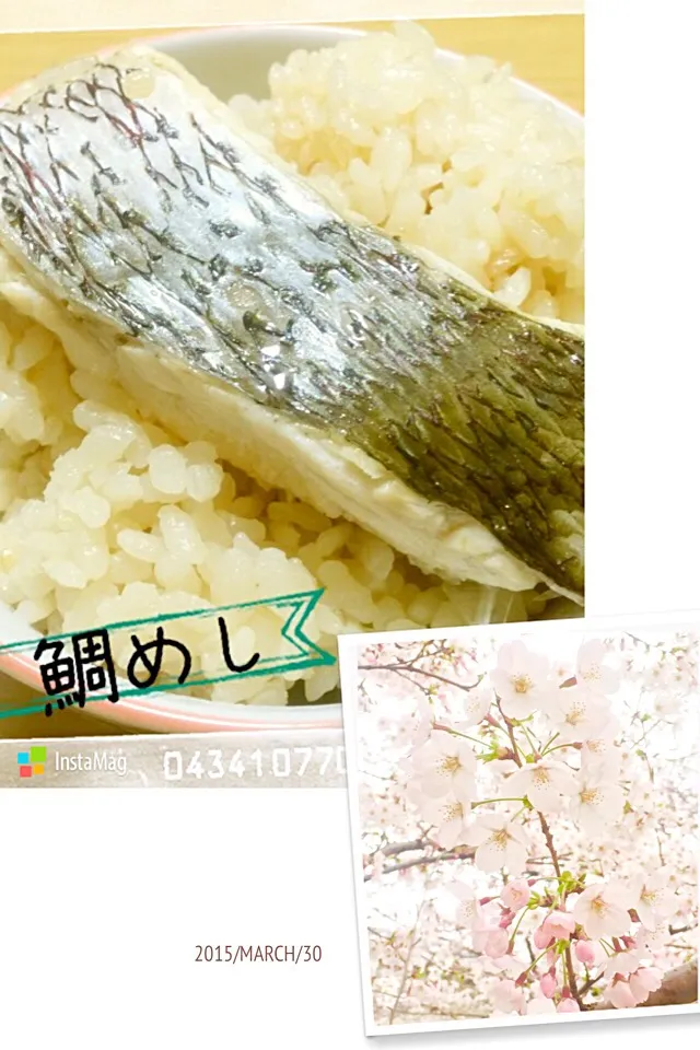 Snapdishの料理写真:桜みたら、鯛めし食べたくなりまして…|neoccoさん