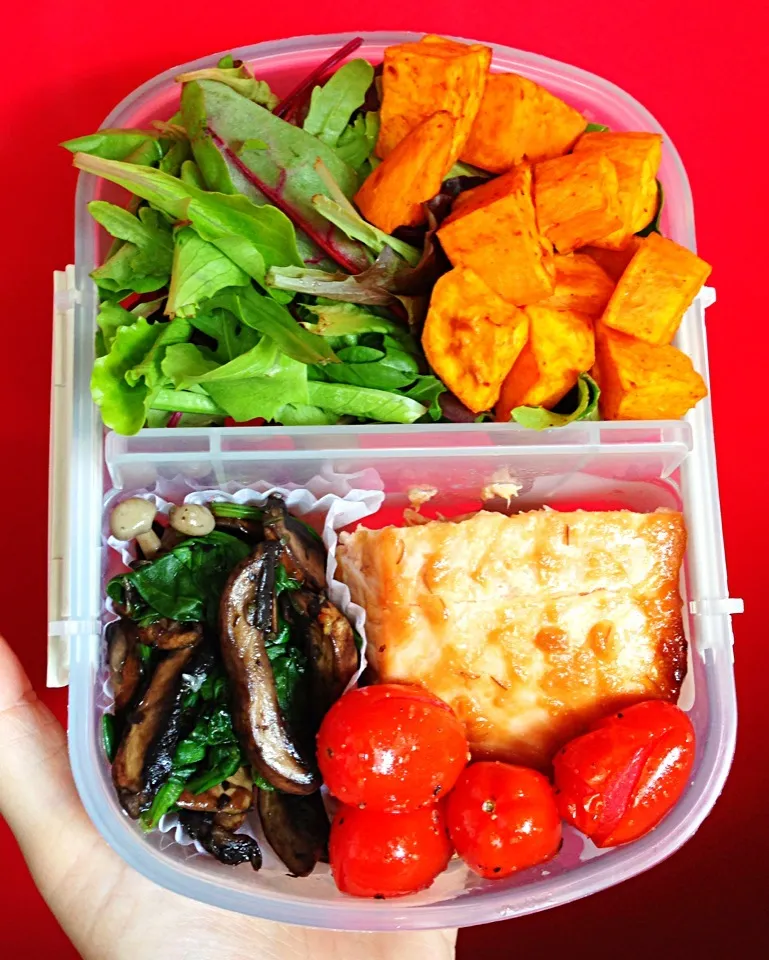 Today's bento - miso grilled salmon, sautéed mushroom with spinach, paprika spiced sweet potato and mixed salad with mustard maple cumin vinaigrette|coxiella24さん