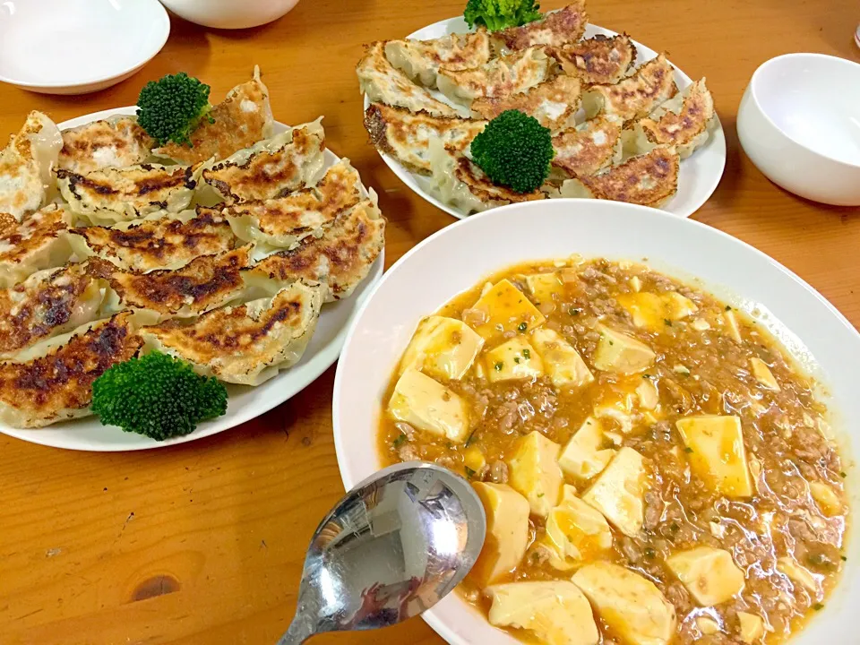 餃子と麻婆豆腐|ルドルフさん