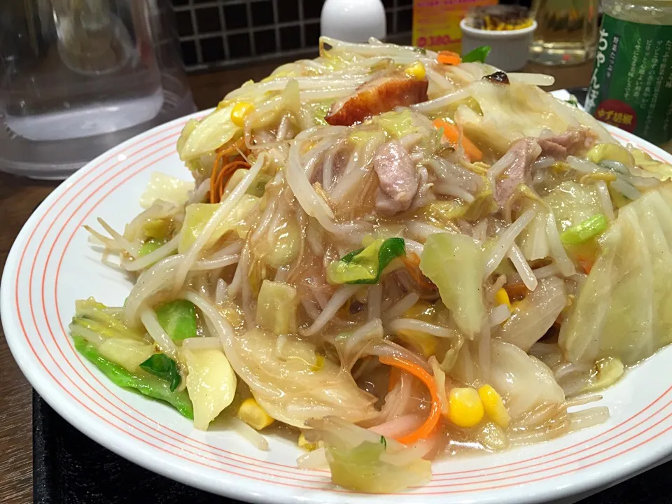 野菜たっぷり皿うどん|hirotomoさん