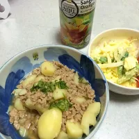 じゃがいも挽肉煮    、タルタルサラダ|中島麻衣さん