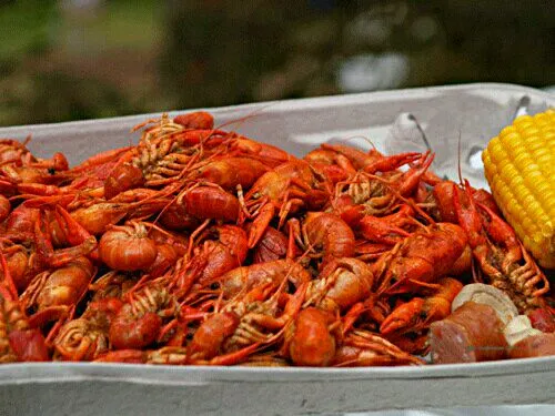 Crawfish from my Friend Boil #Seafood #Vegetable #Pork|Alisha GodsglamGirl Matthewsさん