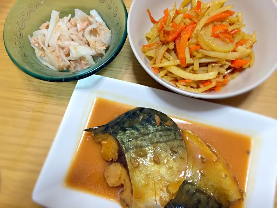 さばの味噌煮ときんぴらジャガイモと大根のサラダ🐟🍚|すずさん