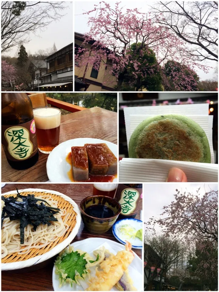 Snapdishの料理写真:花見がてら深大寺そばと深大寺ビール🍺🌸🍡|ぷっくりんこ💙さん