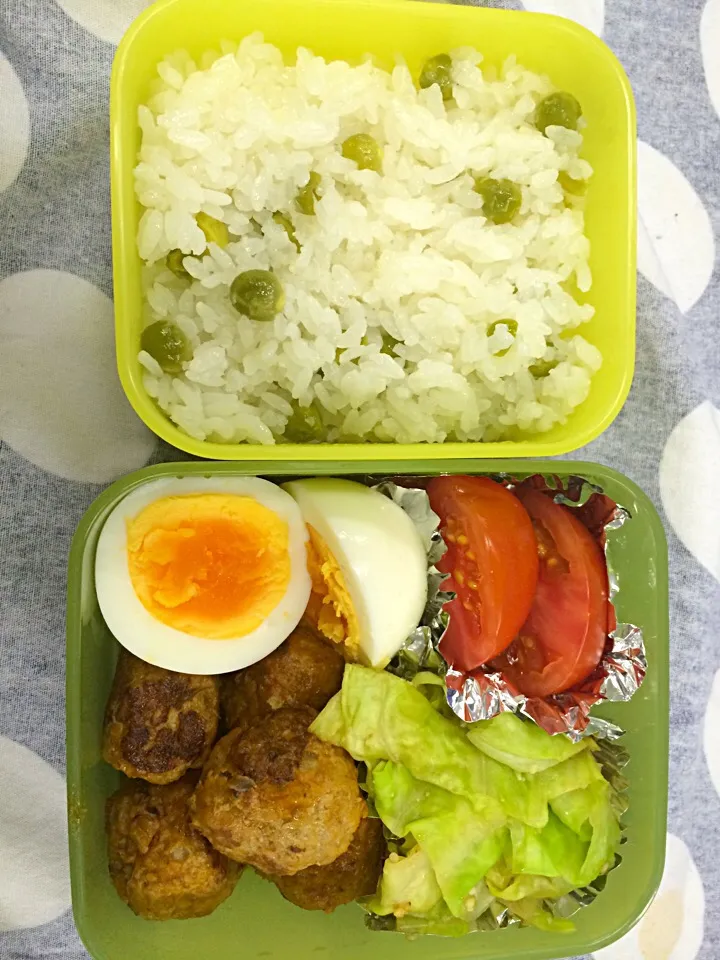 Snapdishの料理写真:グリンピース弁当|freeさん